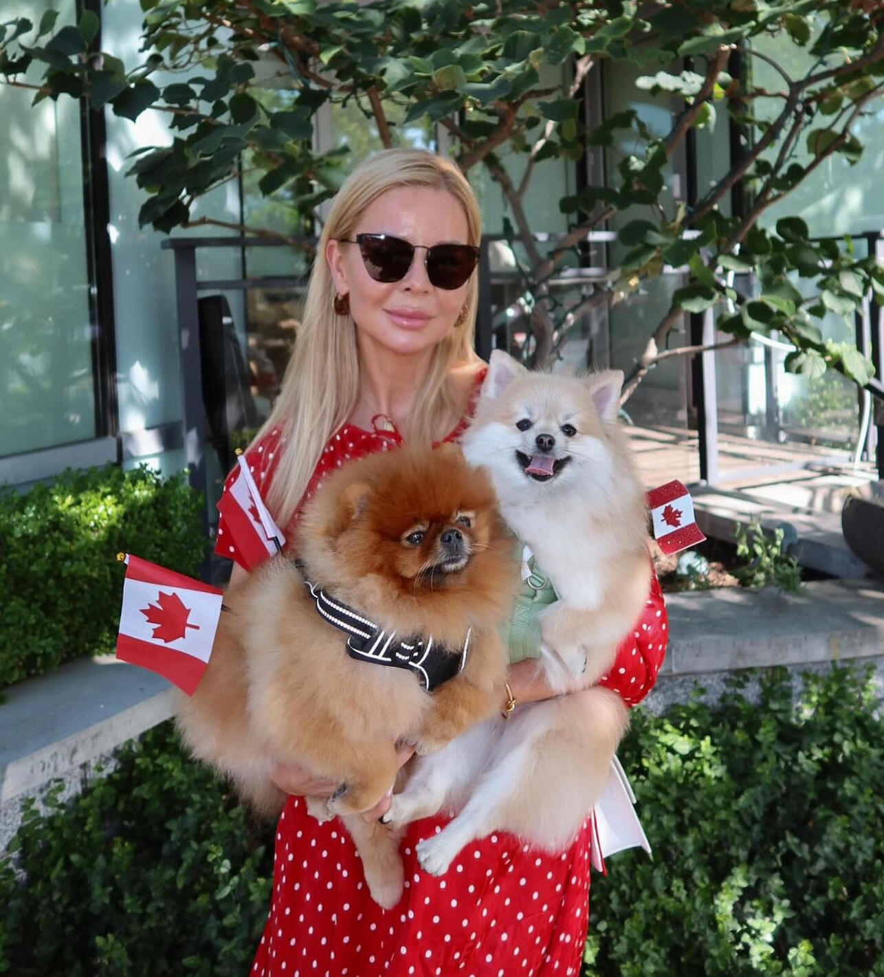 Olena Zolotukhina, PIJAC certified dog groomer at Lapa Dog Grooming, holding two Pomeranians on Canada Day in Port Coquitlam BC